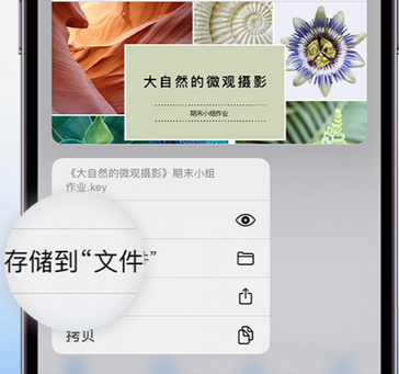 松山湖管委会apple维修中心分享iPhone文件应用中存储和找到下载文件