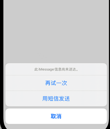 松山湖管委会apple维修iPhone上无法正常发送iMessage信息