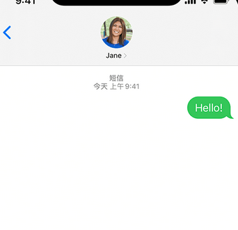 松山湖管委会apple维修iPhone上无法正常发送iMessage信息