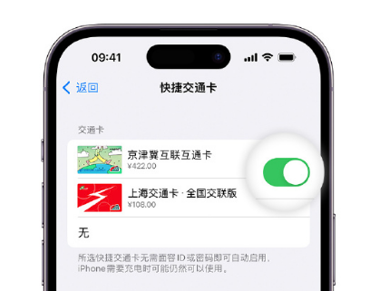 松山湖管委会apple维修点分享iPhone上更换Apple Pay快捷交通卡手绘卡面 