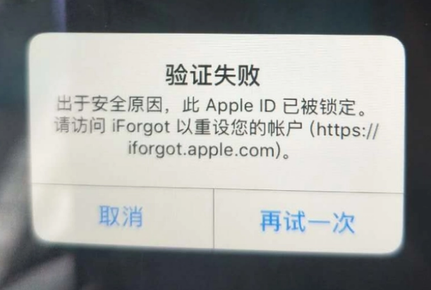 松山湖管委会iPhone维修分享iPhone上正常登录或使用AppleID怎么办 