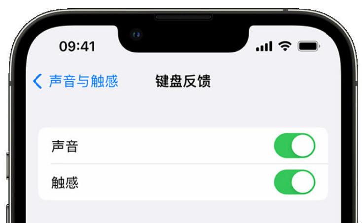 松山湖管委会苹果手机维修分享iPhone 14触感键盘使用方法 