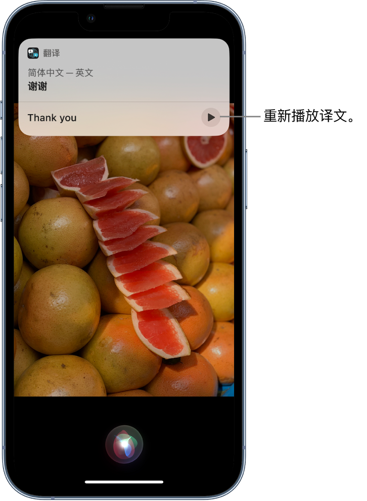 松山湖管委会苹果14维修分享 iPhone 14 机型中使用 Siri：了解 Siri 能帮你做什么 