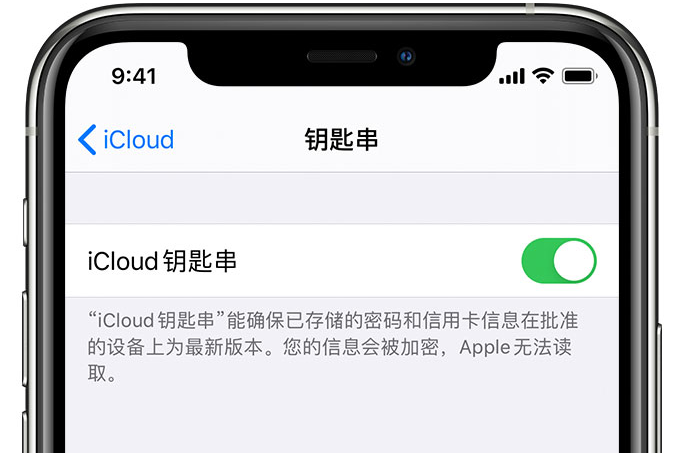 松山湖管委会苹果手机维修分享在 iPhone 上开启 iCloud 钥匙串之后会储存哪些信息 