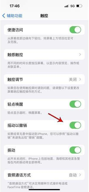 松山湖管委会苹果手机维修分享iPhone手机如何设置摇一摇删除文字 