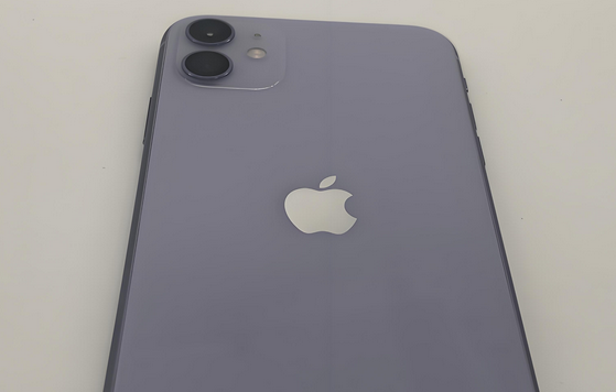 松山湖管委会苹果11系统维修分享iPhone11手机系统崩溃无法开机如何解决
